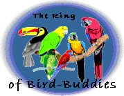 BirdBuddiesWebring.gif (9302 bytes)