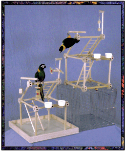 ParrotPenthouse.gif (71734 bytes)